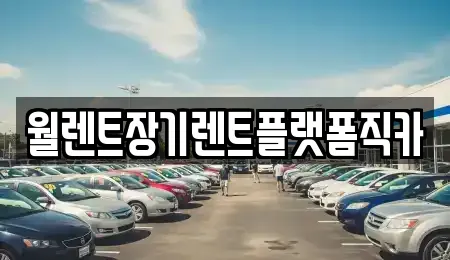 월렌트장기렌트플랫폼직카