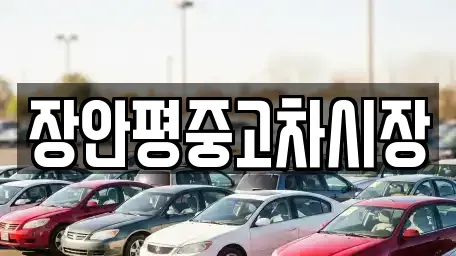 장안평중고차시장