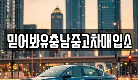 부여군 충화면 근처 자동차전시장,중고차,장기렌트카 3업체