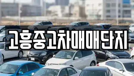 고흥중고차매매단지