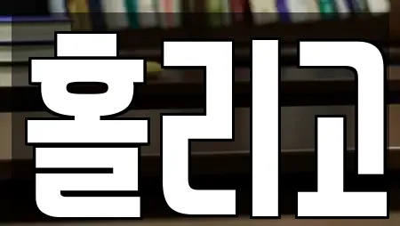 홀리고