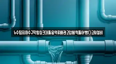 누수탐지하수구막힘싱크대뚫음역류배관고압세척뚫어뻥다고쳐설비
