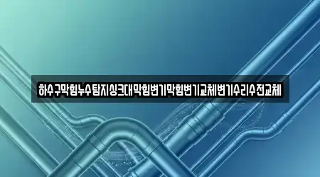 하수구막힘누수탐지싱크대막힘변기막힘변기교체변기수리수전교체