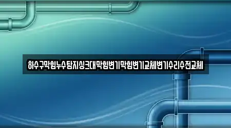 하수구막힘누수탐지싱크대막힘변기막힘변기교체변기수리수전교체