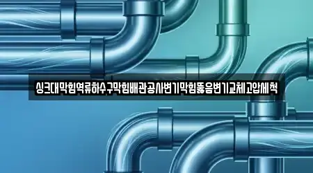 싱크대막힘역류하수구막힘배관공사변기막힘뚫음변기교체고압세척