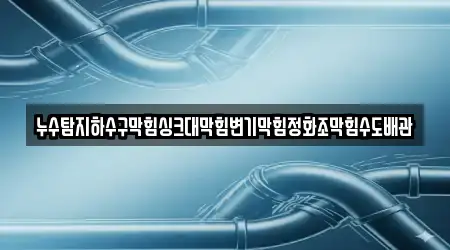 누수탐지하수구막힘싱크대막힘변기막힘정화조막힘수도배관