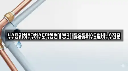 누수탐지하수구하수도막힘변기씽크대뚫음뚫어수도설비누수전문
