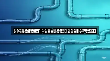 하수구뚫음화장실변기막힘뚫는비용싱크대화장실배수구막혔을때