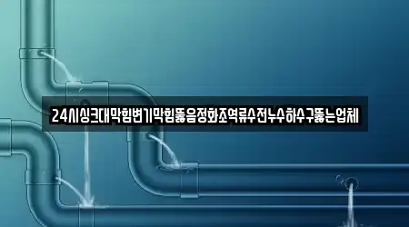 24시싱크대막힘변기막힘뚫음정화조역류수전누수하수구뚫는업체