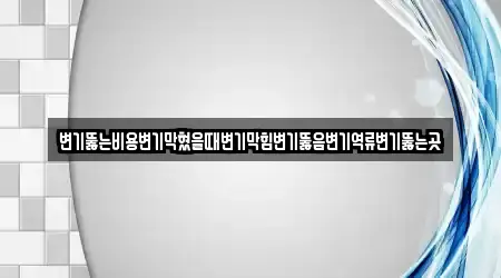 변기뚫는비용변기막혔을때변기막힘변기뚫음변기역류변기뚫는곳
