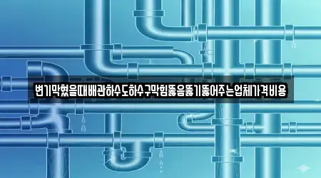 변기막혔을때배관하수도하수구막힘뚫음뚫기뚫어주는업체가격비용