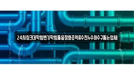24시싱크대막힘변기막힘뚫음정화조역류수전누수하수구뚫는업체