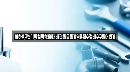 시하수구변기막힘막혔을때배관뚫음뚫기역류집수정배수구뚫어변기