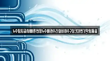 누수탐지공사빠른천정누수배관수리설비하수구싱크대변기막힘뚫음