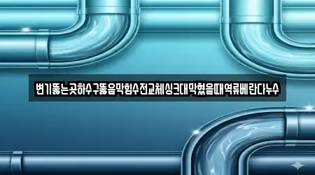 변기뚫는곳하수구뚫음막힘수전교체싱크대막혔을때역류베란다누수