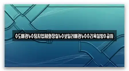 수도배관누수탐지업체화장실누수보일러배관누수수리욕실방수공사