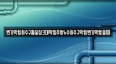 변기막힘하수구뚫음싱크대막힘주방누수하수구막힘변기막혔을때