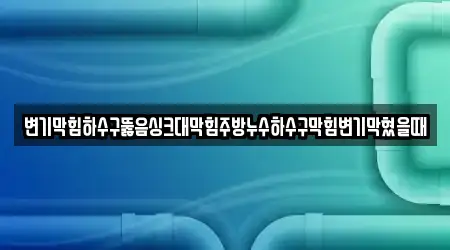 변기막힘하수구뚫음싱크대막힘주방누수하수구막힘변기막혔을때