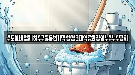 수도설비업체하수구뚫음변기막힘씽크대역류화장실누수누수탐지
