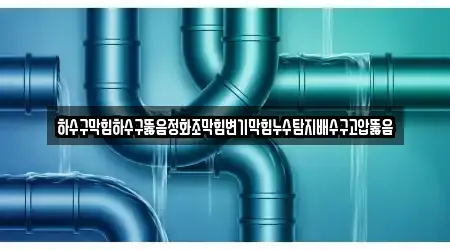 하수구막힘하수구뚫음정화조막힘변기막힘누수탐지배수구고압뚫음