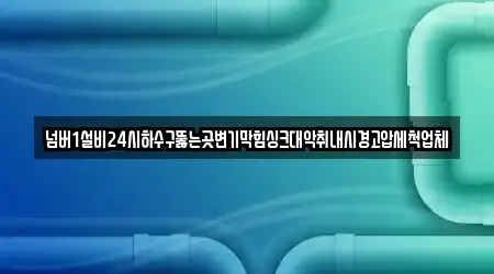 넘버1설비24시하수구뚫는곳변기막힘싱크대악취내시경고압세척업체