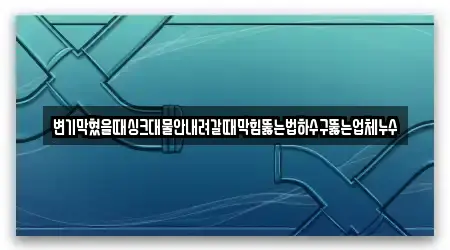 변기막혔을때싱크대물안내려갈때막힘뚫는법하수구뚫는업체누수