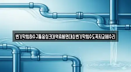 변기막힘하수구뚫음싱크대역류세면대소변기막힘수도꼭지교체수리