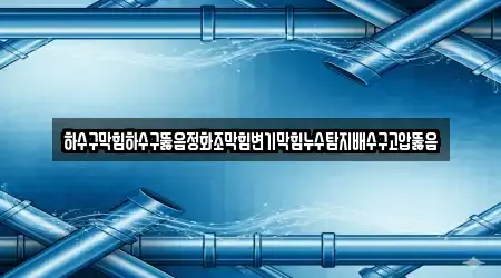 하수구막힘하수구뚫음정화조막힘변기막힘누수탐지배수구고압뚫음