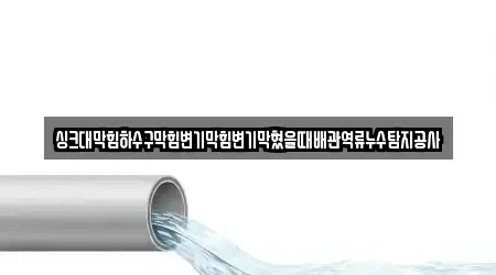 싱크대막힘하수구막힘변기막힘변기막혔을때배관역류누수탐지공사