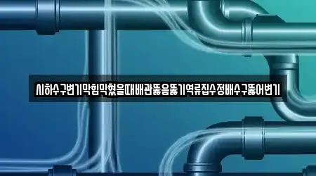 시하수구변기막힘막혔을때배관뚫음뚫기역류집수정배수구뚫어변기