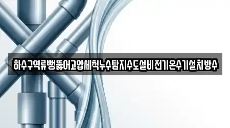 하수구역류뻥뚫어고압세척누수탐지수도설비전기온수기설치방수