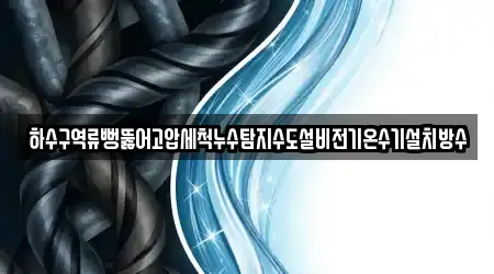 하수구역류뻥뚫어고압세척누수탐지수도설비전기온수기설치방수