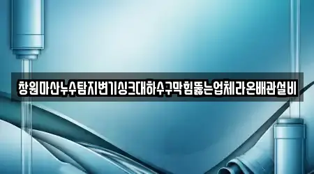 창원마산누수탐지변기싱크대하수구막힘뚫는업체라온배관설비