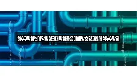 하수구막힘변기막힘싱크대막힘뚫음미세방충망고압세척누수탐지