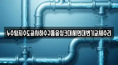 누수탐지수도공사하수구뚫음싱크대세면대변기교체수리