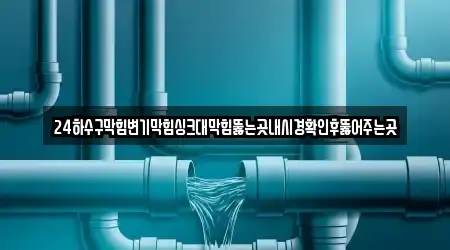 24하수구막힘변기막힘싱크대막힘뚫는곳내시경확인후뚫어주는곳