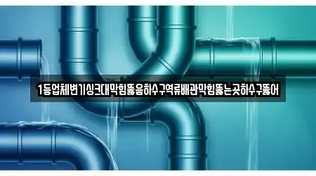 1등업체변기싱크대막힘뚫음하수구역류배관막힘뚫는곳하수구뚫어