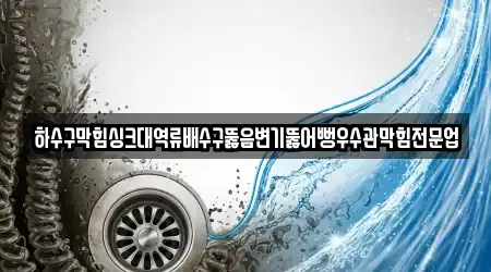 하수구막힘싱크대역류배수구뚫음변기뚫어뻥우수관막힘전문업