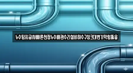 누수탐지공사빠른천정누수배관수리설비하수구싱크대변기막힘뚫음