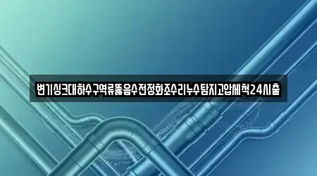 변기싱크대하수구역류뚫음수전정화조수리누수탐지고압세척24시출