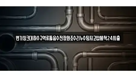 변기싱크대하수구역류뚫음수전정화조수리누수탐지고압세척24시출