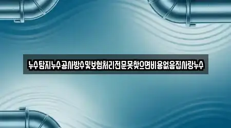 누수탐지누수공사방수및보험처리전문못찾으면비용없음집사랑누수
