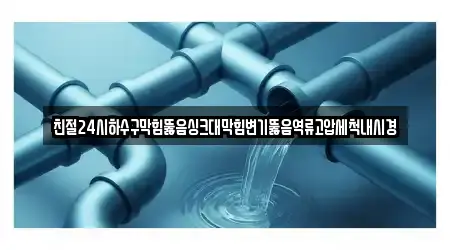친절24시하수구막힘뚫음싱크대막힘변기뚫음역류고압세척내시경