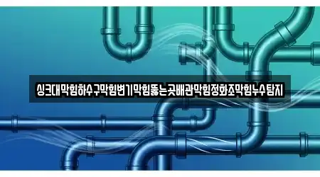 싱크대막힘하수구막힘변기막힘뚫는곳배관막힘정화조막힘누수탐지