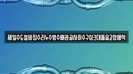 제일수도설비집수리누수방수배관공사하수구싱크대뚫음고압세척