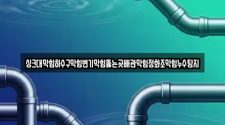 싱크대막힘하수구막힘변기막힘뚫는곳배관막힘정화조막힘누수탐지