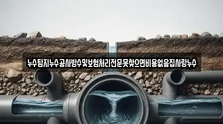 누수탐지누수공사방수및보험처리전문못찾으면비용없음집사랑누수