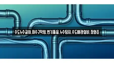 수도누수공사.하수구막힘.변기뚫음.누수탐지.수도배관설비.정화조