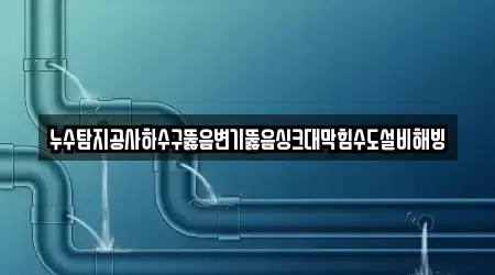 누수탐지공사하수구뚫음변기뚫음싱크대막힘수도설비해빙