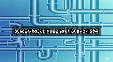 수도누수공사.하수구막힘.변기뚫음.누수탐지.수도배관설비.정화조
